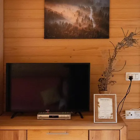 V Objemu Gora Appartement Bohinj Buitenkant foto