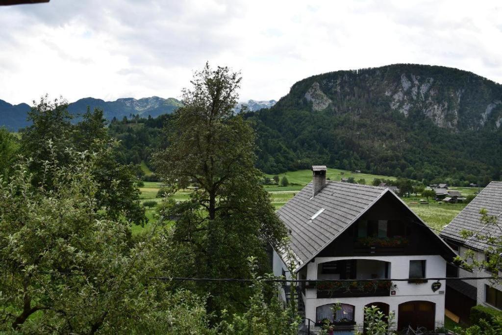 V Objemu Gora * Bohinj