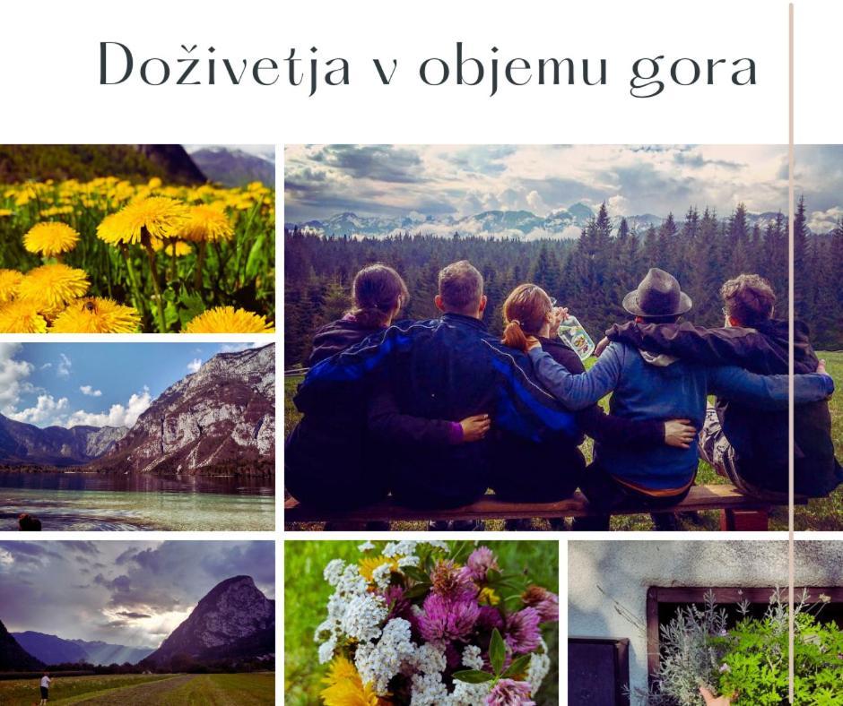 V Objemu Gora Bohinj