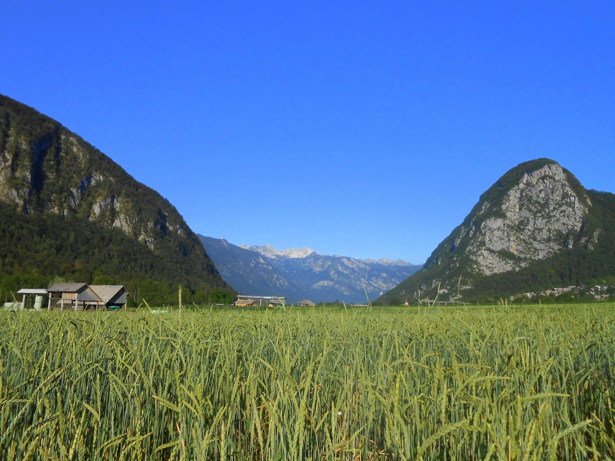 V Objemu Gora Bohinj